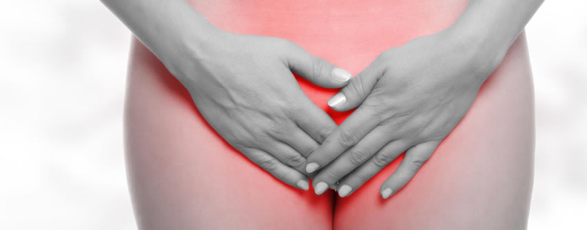 Soxta vaginadan foydalanish boyicha korsatmalar Yosh blondalarning mushuklari